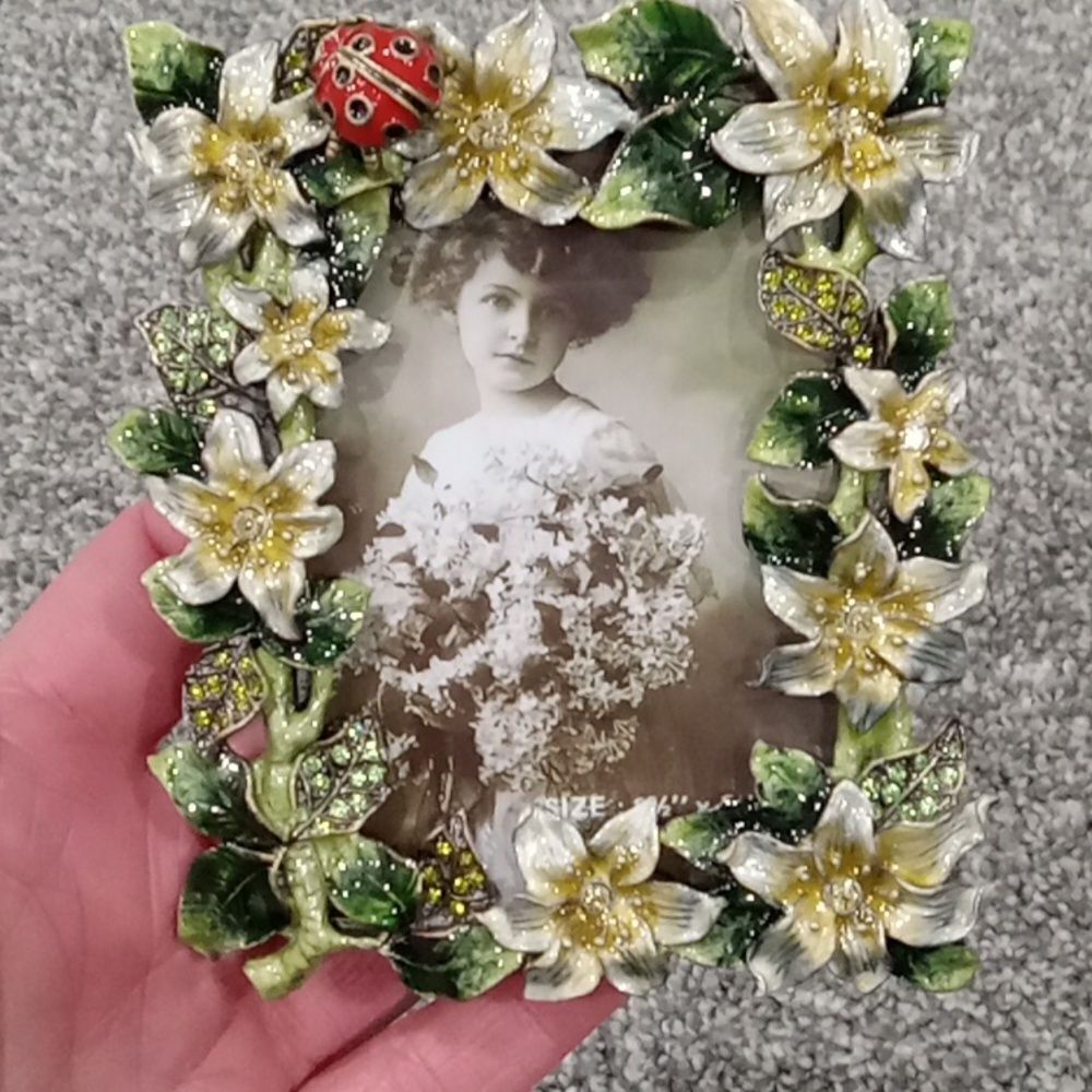 Pair of 2 Tizo design picture frames Lady Bug & Bee with Floral Foliage NWT - Picture 3 of 6